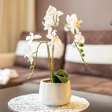 Apartment Laba Diva Prywatny *